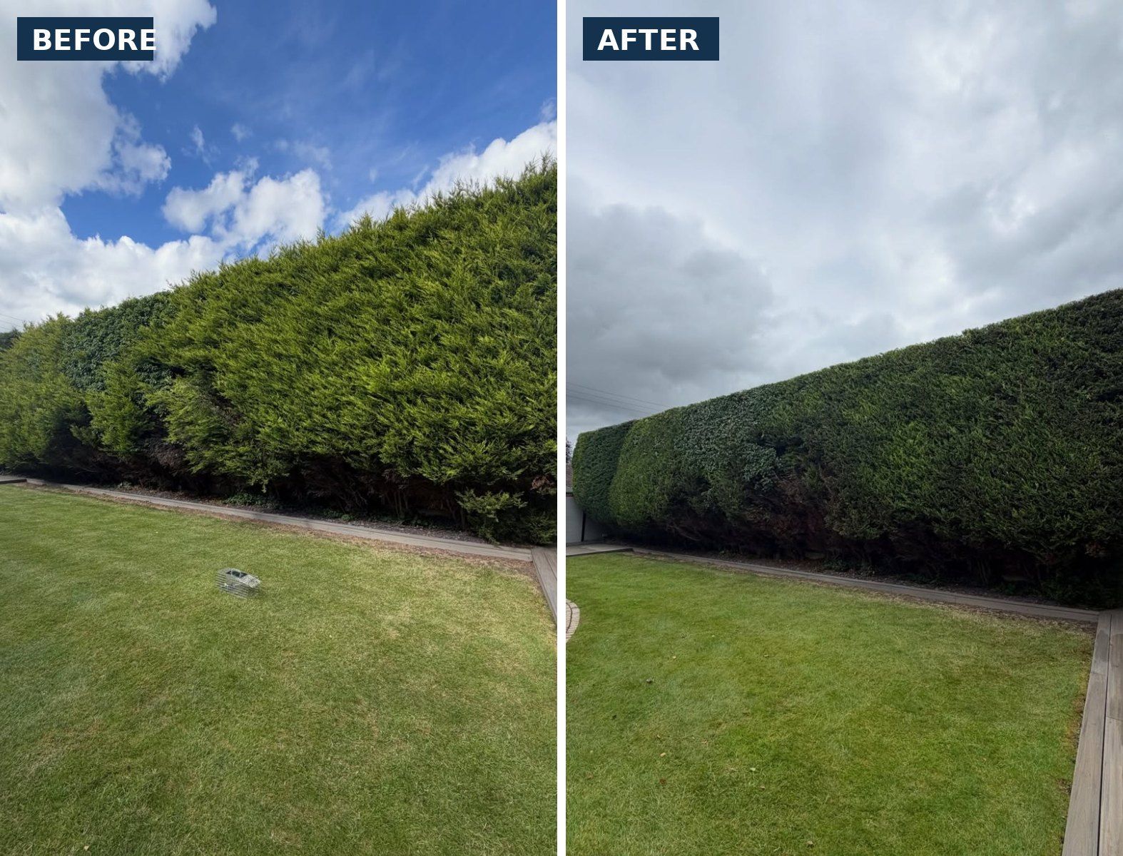 Before and after hedge reduction